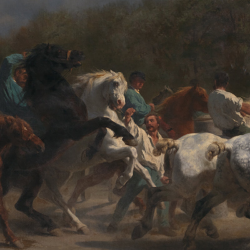 Why did Rosa Bonheur hide herself in this painting?